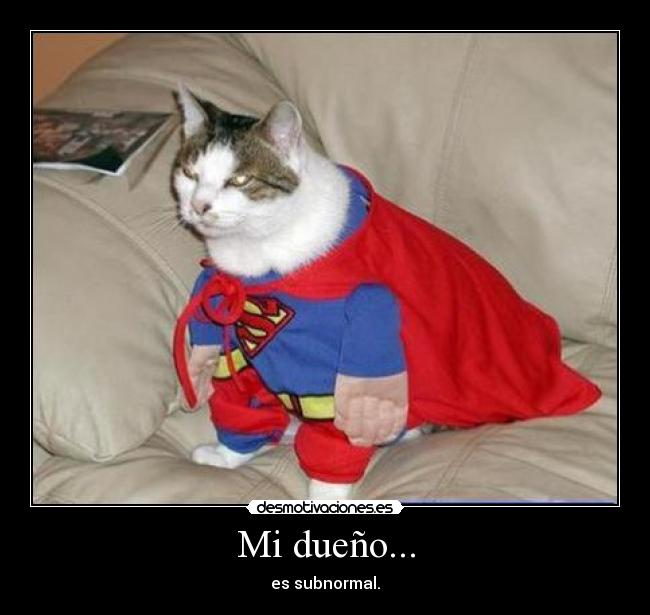 Mi dueño... - es subnormal.