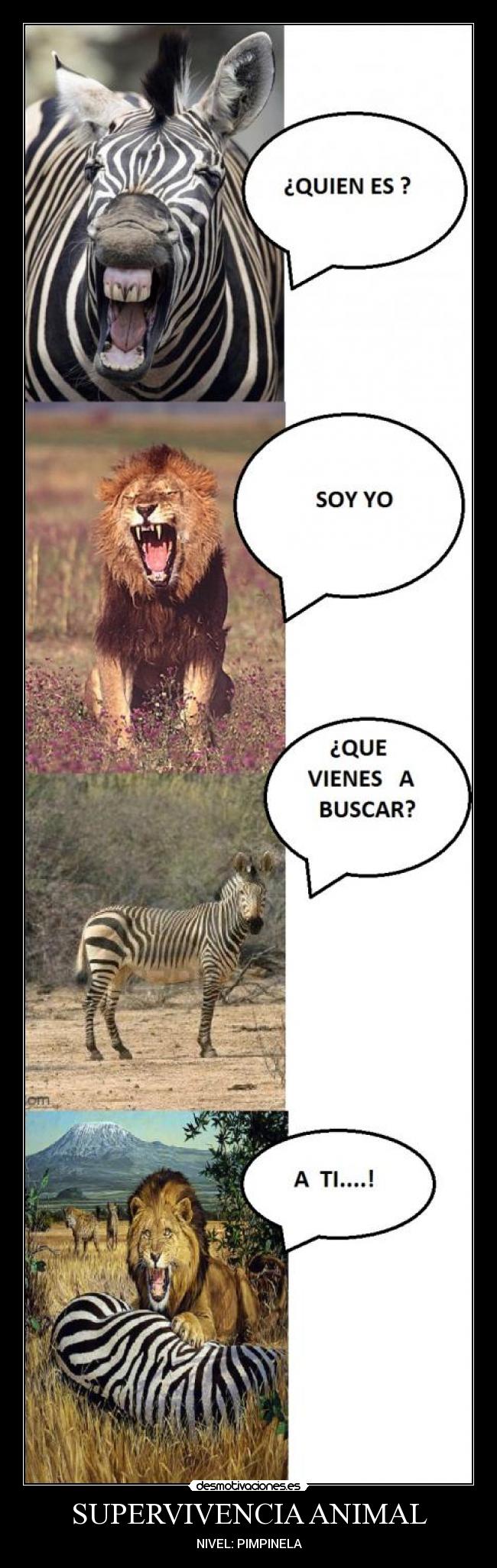 SUPERVIVENCIA ANIMAL - NIVEL: PIMPINELA