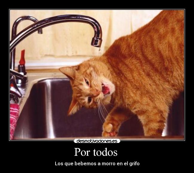 Por todos - Los que bebemos a morro en el grifo