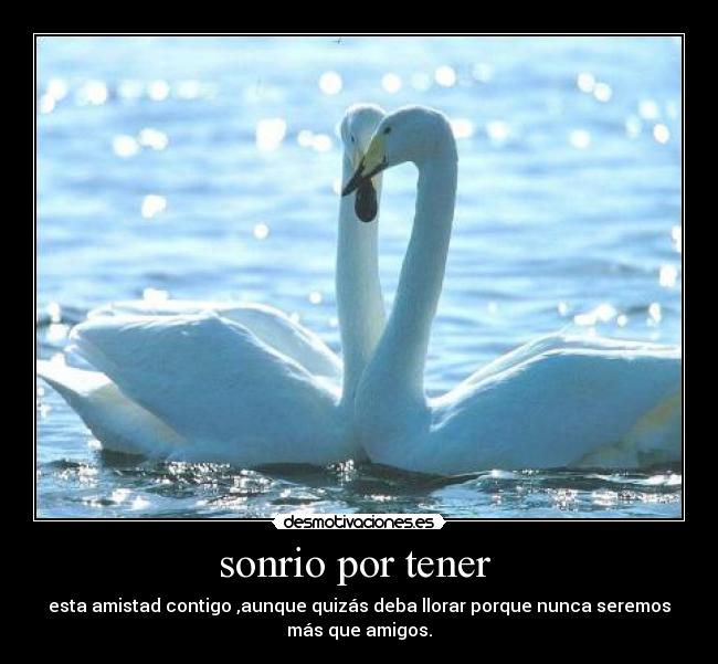 sonrio por tener  - esta amistad contigo ,aunque quizás deba llorar porque nunca seremos
más que amigos.