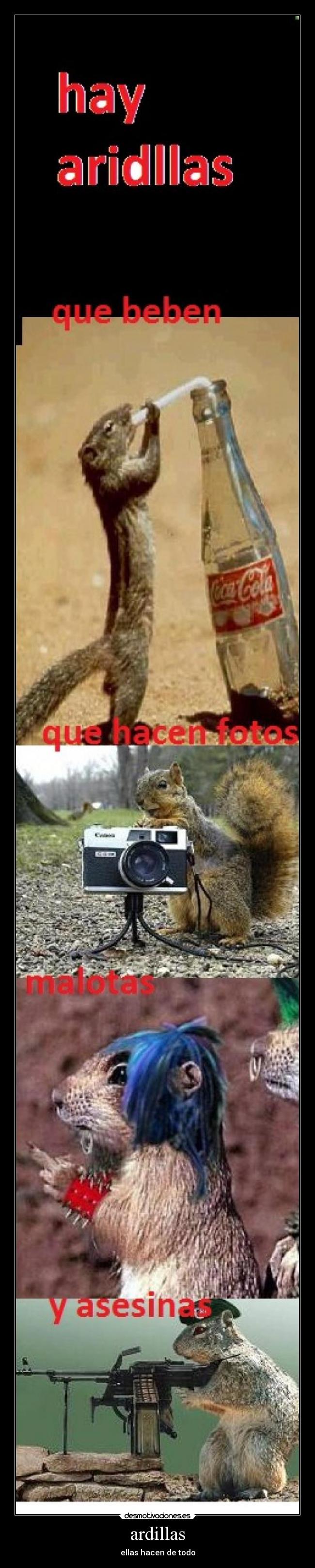 ardillas -