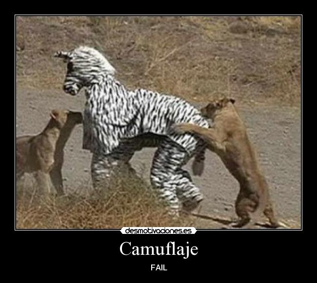 Camuflaje - 