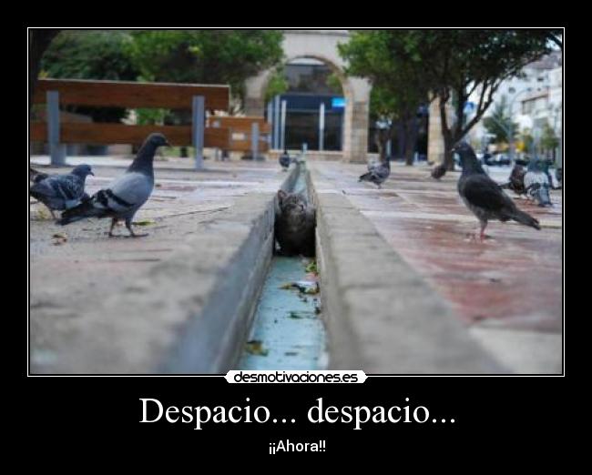 carteles desmotivaciones