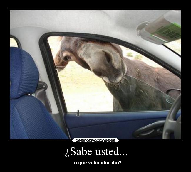 ¿Sabe usted... -