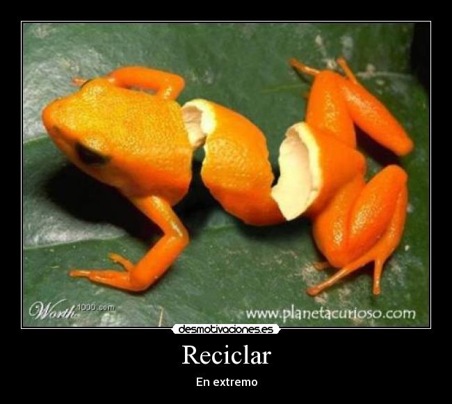 Reciclar - En extremo