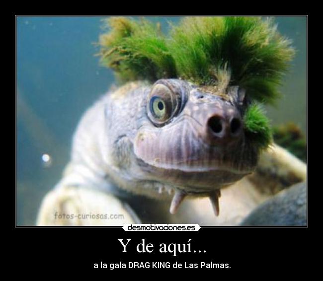 Y de aquí... - a la gala DRAG KING de Las Palmas.