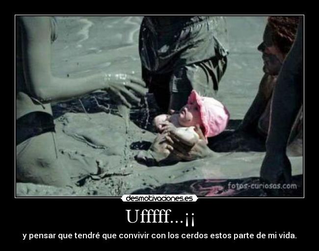 Ufffff...¡¡ - y pensar que tendré que convivir con los cerdos estos parte de mi vida.