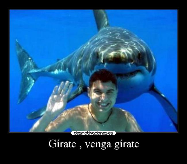 carteles girate desmotivaciones