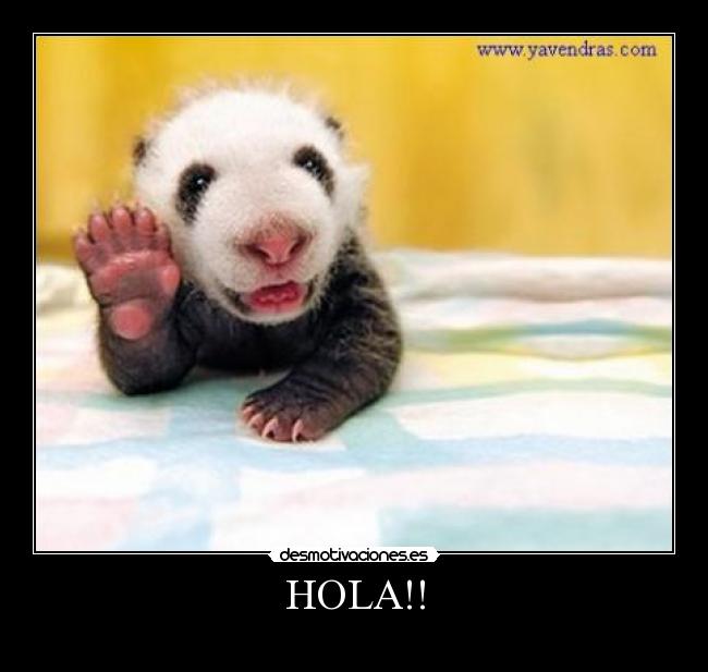 HOLA!! -