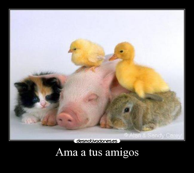 Ama a tus amigos -