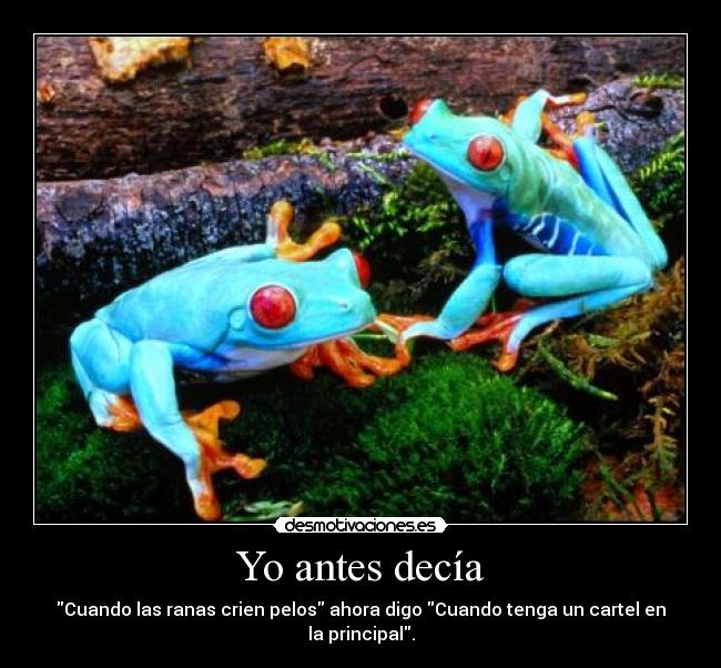Yo antes decía - Cuando las ranas crien pelos ahora digo Cuando tenga un cartel en la principal.