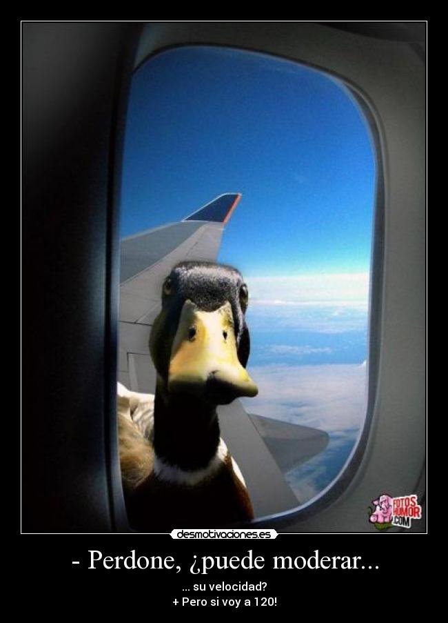 - Perdone, ¿puede moderar... - ... su velocidad?
+ Pero si voy a 120!