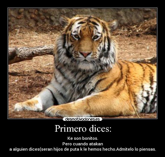 Primero dices: - Ke son bonitos.
Pero cuando atakan
a alguien dices(seran hijos de puta k le hemos hecho.Admitelo lo piensas.