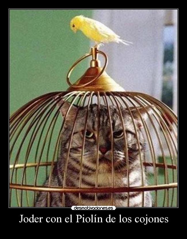 Joder con el Piolín de los cojones - 