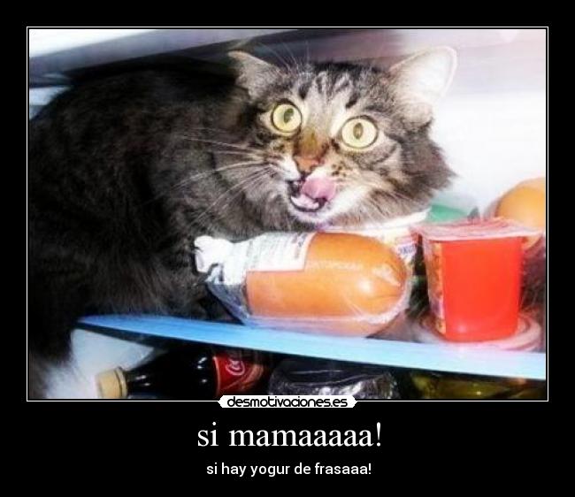 si mamaaaaa! - 