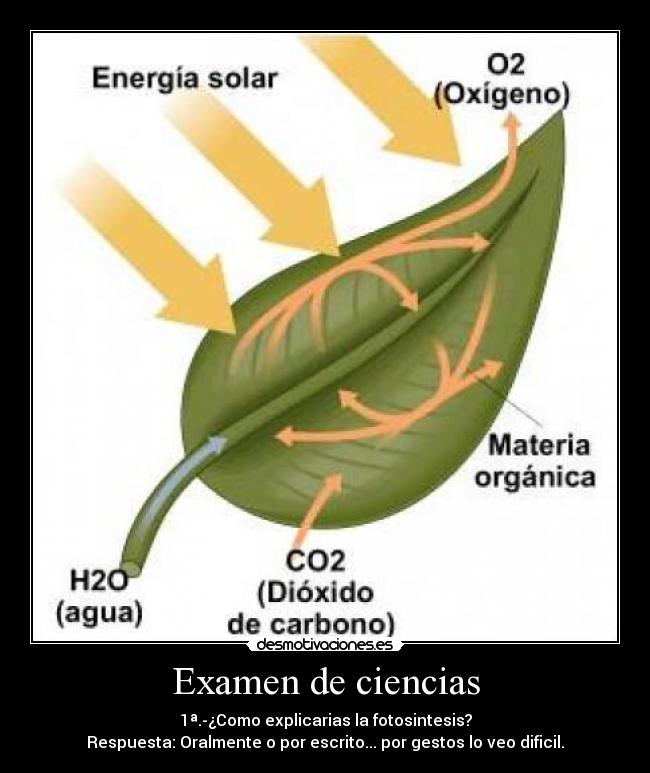 Examen de ciencias - 
