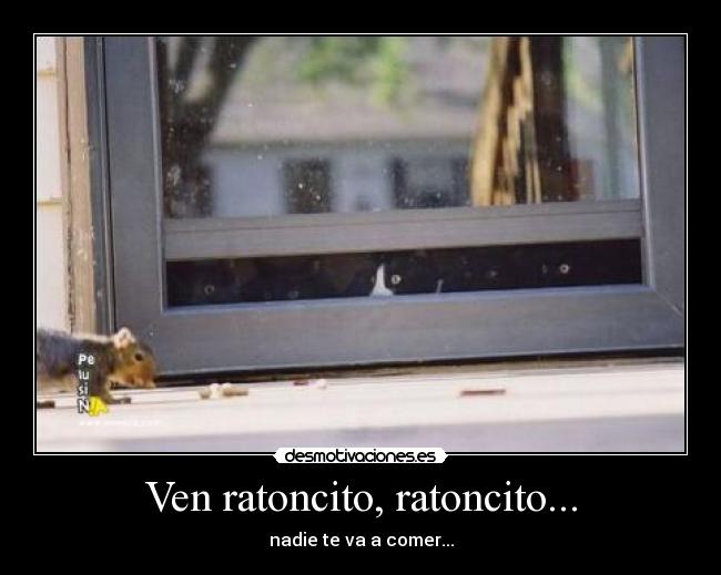 Ven ratoncito, ratoncito... - nadie te va a comer...