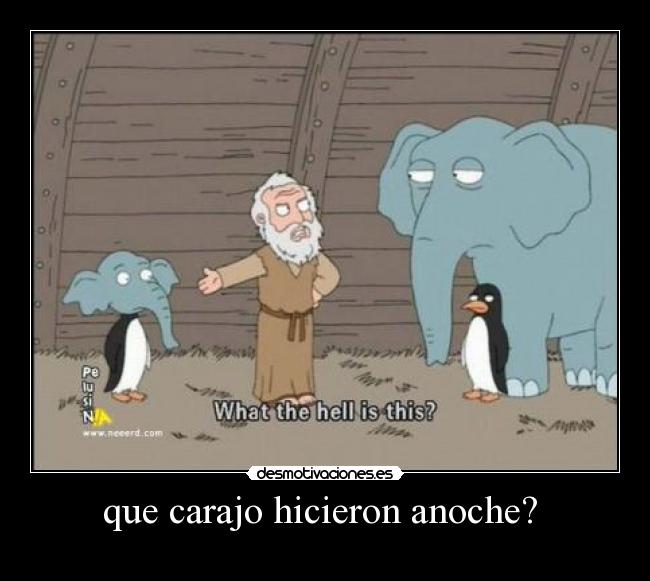 que carajo hicieron anoche?  - 