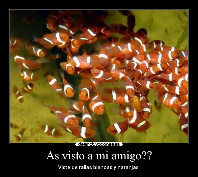 As visto a mi amigo?? - Viste de rallas blancas y naranjas