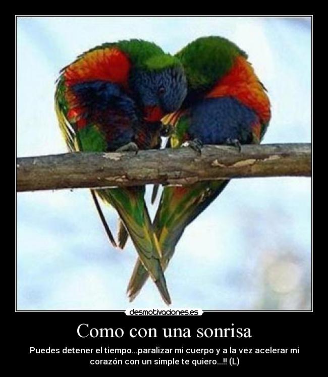 Como con una sonrisa - Puedes detener el tiempo...paralizar mi cuerpo y a la vez acelerar mi
corazón con un simple te quiero...!! (L)