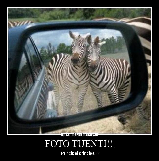 FOTO TUENTI!!! - 
