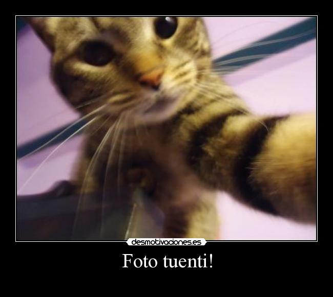 Foto tuenti! -