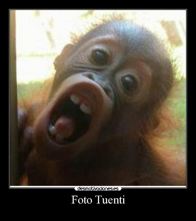 Foto Tuenti -