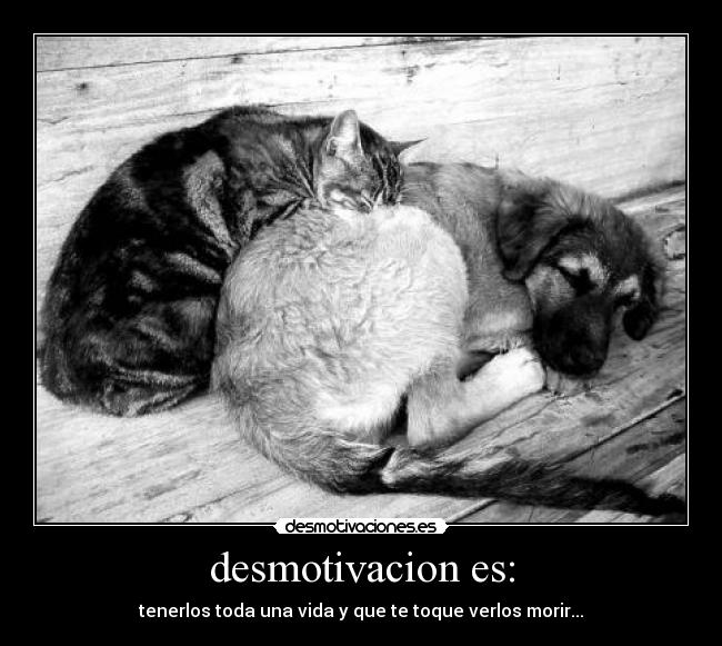 desmotivacion es: - tenerlos toda una vida y que te toque verlos morir...