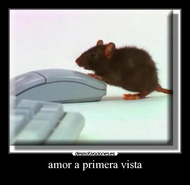 amor a primera vista -