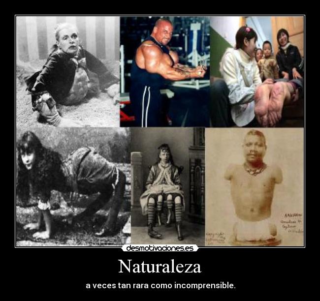 Naturaleza - 