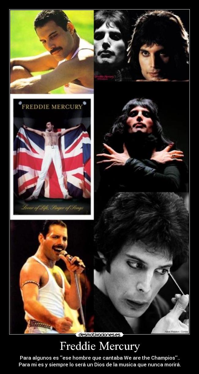 Freddie Mercury -