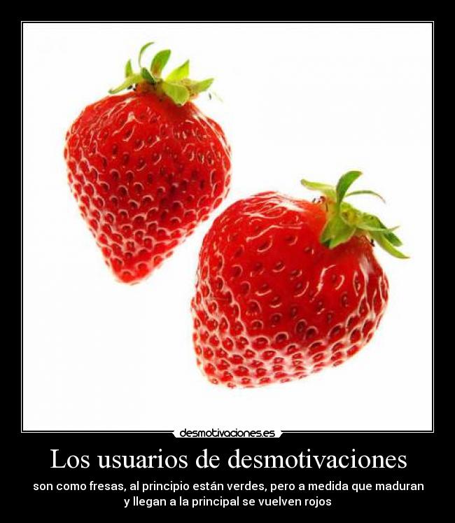 Los usuarios de desmotivaciones - 