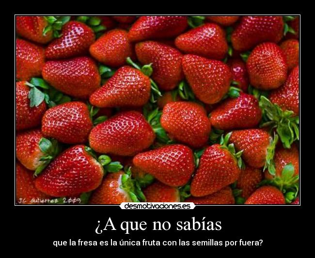 ¿A que no sabías -