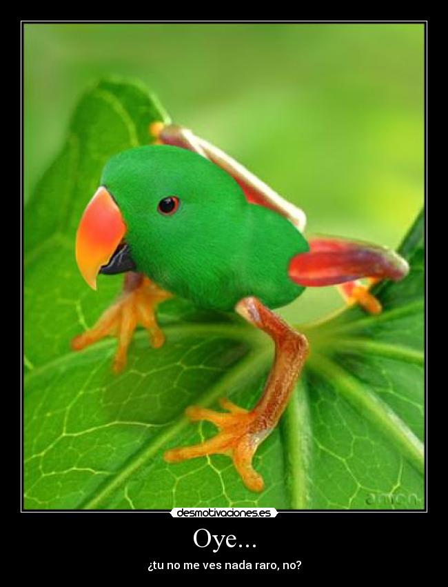 Oye... - ¿tu no me ves nada raro, no?