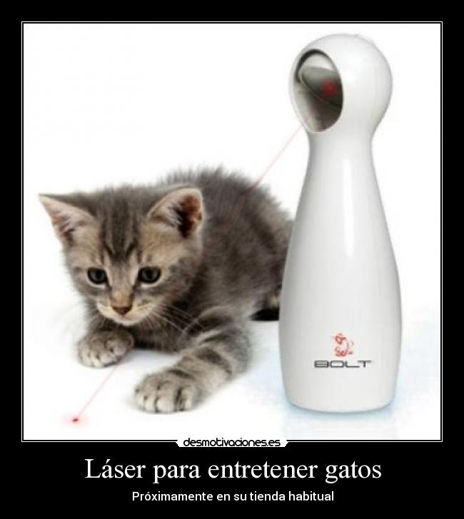 carteles gatos entretenergatoslasertiendahabitualproximamente desmotivaciones