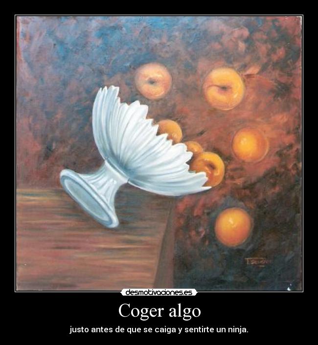 carteles ninja desmotivaciones