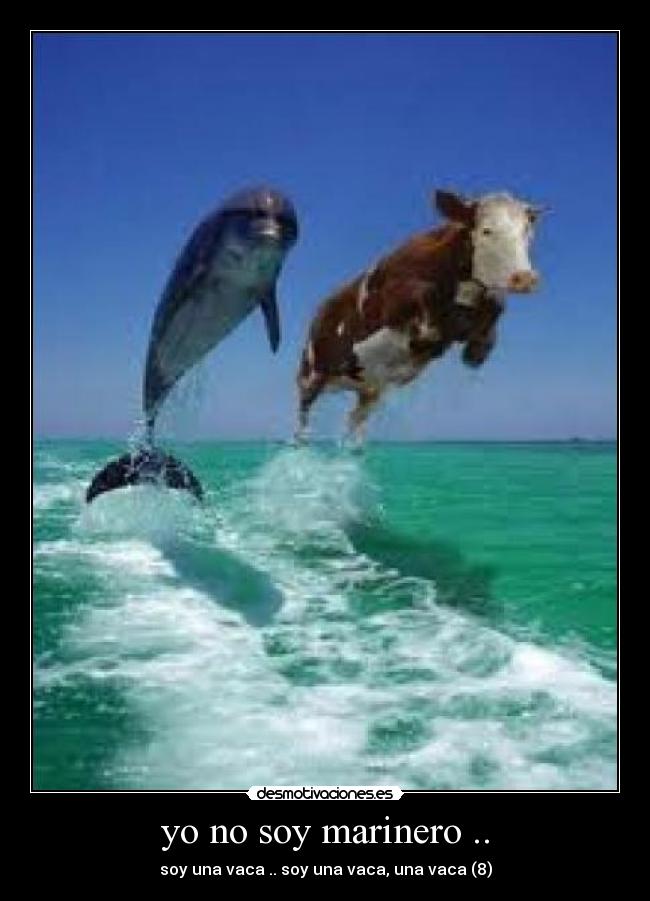 yo no soy marinero .. -