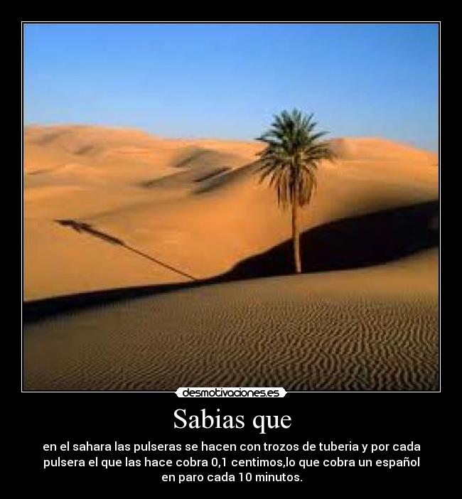 carteles sabias queparo desmotivaciones