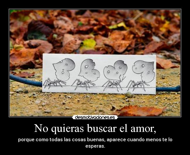 No quieras buscar el amor, - 