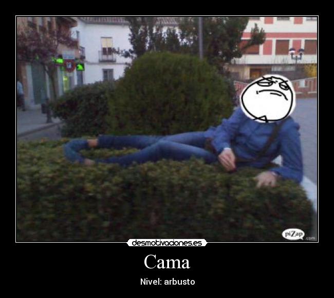 Cama - 