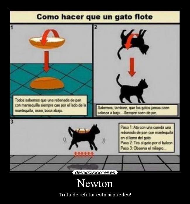 Newton - 