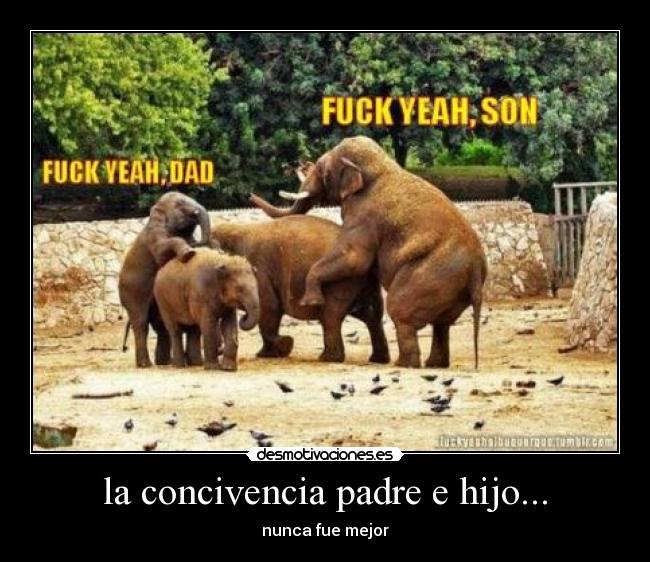 la concivencia padre e hijo... - nunca fue mejor