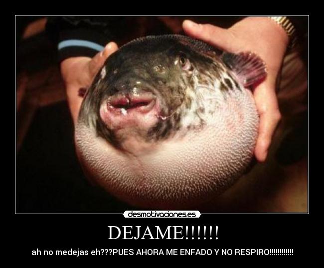 DEJAME!!!!!! - 