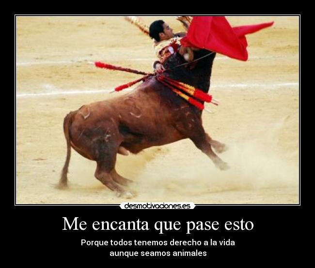 Me encanta que pase esto - Porque todos tenemos derecho a la vida
aunque seamos animales