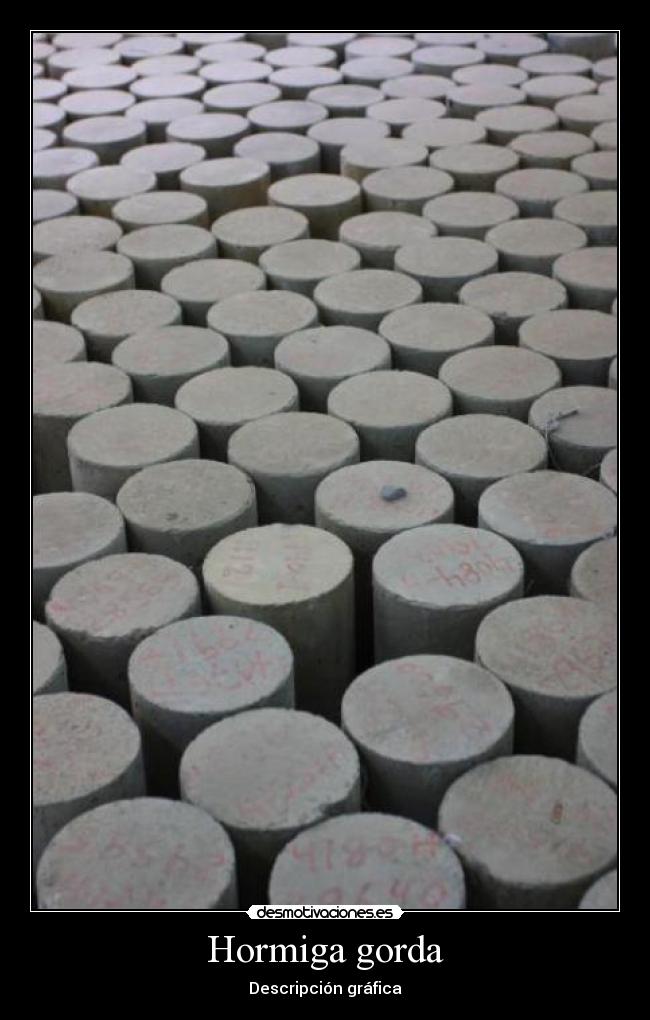 Hormiga gorda -
