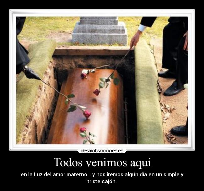 Todos venimos aquí -