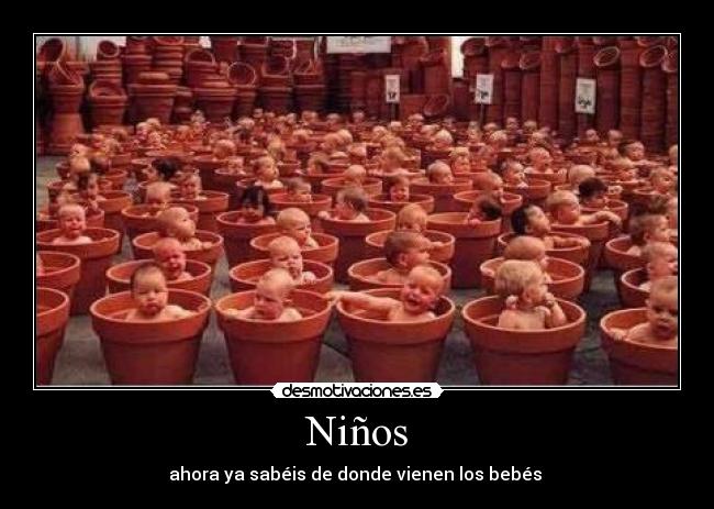 Niños - 