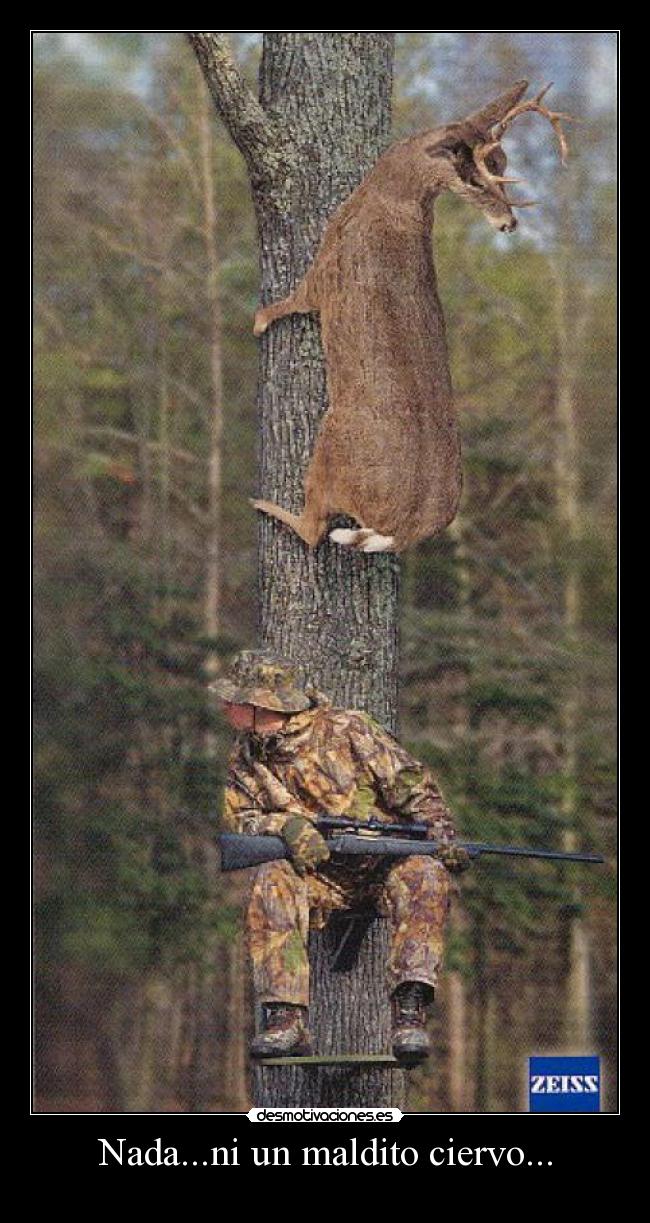 Nada...ni un maldito ciervo... -