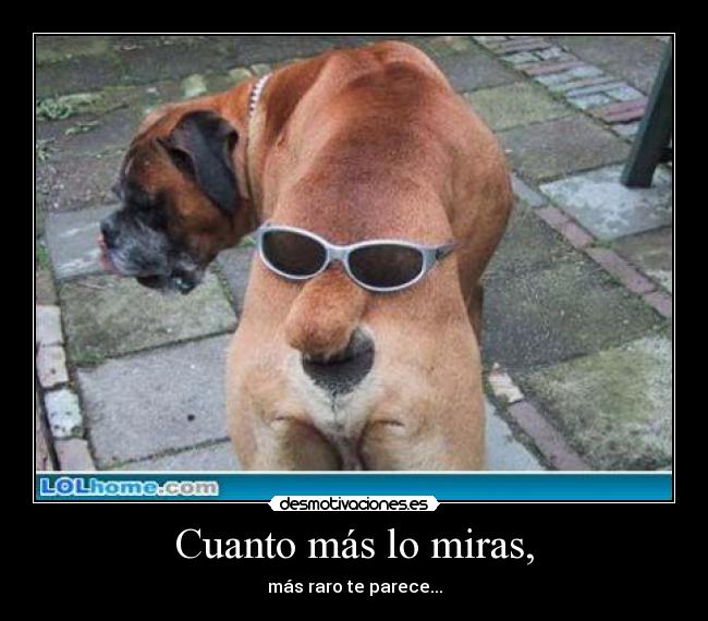 Cuanto más lo miras, - más raro te parece...