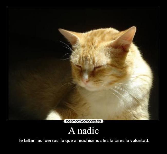 A nadie - 